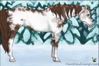 Horse Color:Liver Chestnut Ice Frame 
