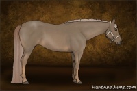 Horse Color:Chocolate Palomino Roan