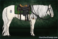 Horse Color:Gold Cream Champagne Pearl Dun 