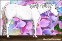 Horse Color:Bay Splash Tobiano Snowcap  Brindle