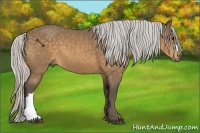 Horse Color:Silver Buckskin 