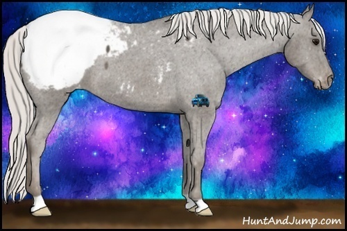 Horse Color:Silver Smoky Black Appaloosa 