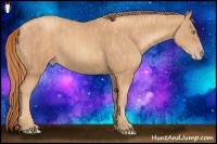 Horse Color:Gold Champagne Brindle