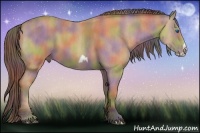 Horse Color:Nacre Buckskin Frame  Brindle