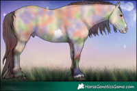 Horse Color:Nacre Buckskin Frame  Brindle