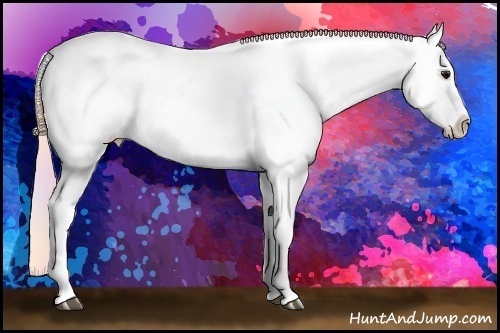 Horse Color:Nacre Silver Smoky Black Blanket 