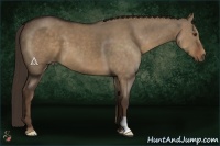 Horse Color:Liver Red Dun Frame