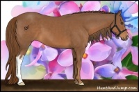 Horse Color:Chestnut Frame