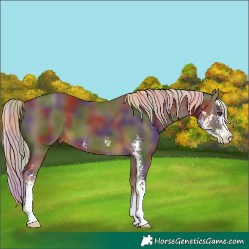 Horse Color:Nacre Chocolate Palomino Sabino 
