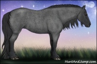 Horse Color:Blue Roan 