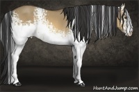 Horse Color:White Spotted Buckskin Dun 
