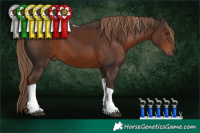 Horse Color:Liver Chestnut Tobiano