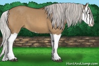 Horse Color:Silver Bay Dun Splash