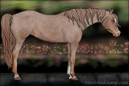 Horse Color:Chestnut Sabino Varnish