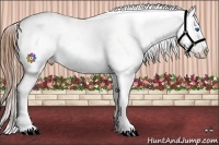 Horse Color:Brown Splash Frame Appaloosa 