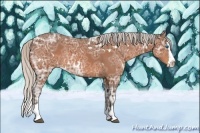 Horse Color:White Spotted Silver Bay Ice Sabino Splash