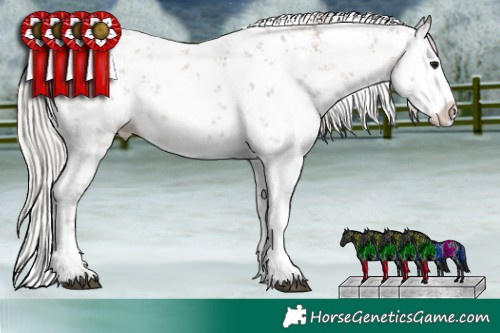 Horse Color:White Spotted Silver Grullo Ice Sabino Splash 