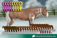 Horse Color:White Spotted Silver Black Tobiano 