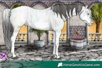 Horse Color:White Spotted Blue Ice Roan Splash Frame Appaloosa
