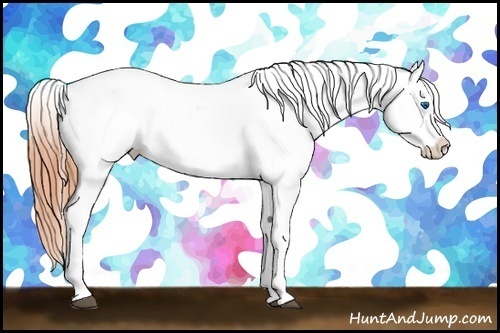 Horse Color:Bay Dun Splash Blanket