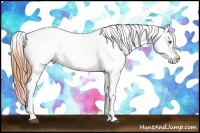 Horse Color:Bay Dun Splash Blanket