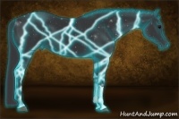 Horse Color:Thunderstruck Black 