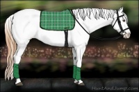 Horse Color:Buckskin Roan Varnish