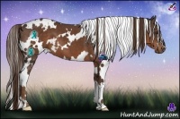 Horse Color:White Spotted Liver Chestnut Frame