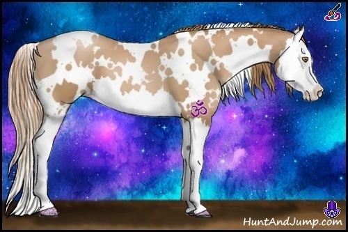 Horse Color:White Spotted Chestnut Pearl Splash