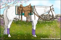 Horse Color:Silver Grullo Sabino Splash 