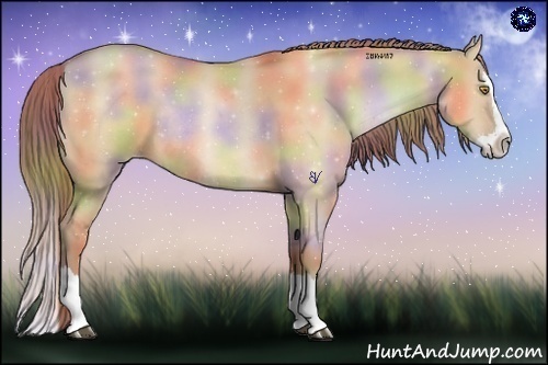 Horse Color:Nacre Bay Roan Pearl Dun Splash Rabicano 