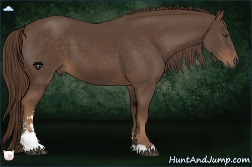Horse Color:Liver Chestnut Sabino