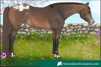 Horse Color:Brown Mushroom Varnish
