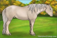 Horse Color:Chocolate Palomino Pearl