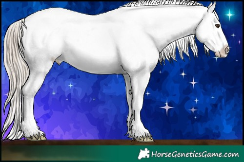 Horse Color:White Spotted Chocolate Palomino Blanket 