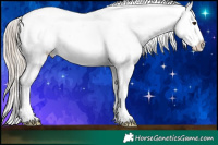 Horse Color:White Spotted Chocolate Palomino Blanket 