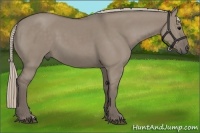 Horse Color:Silver Grullo
