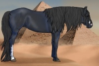 Horse Color:Black Frame