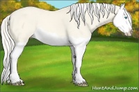 Horse Color:Cremello Dun Splash 