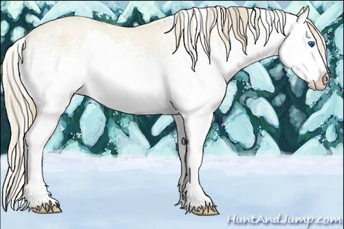 Horse Color:White Spotted Perlino Dun Splash