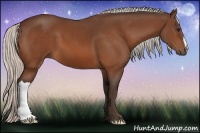 Horse Color:Silver Bay 