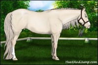 Horse Color:Palomino Pearl Dun