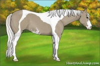 Horse Color:Silver Smoky Grullo Sabino Tobiano