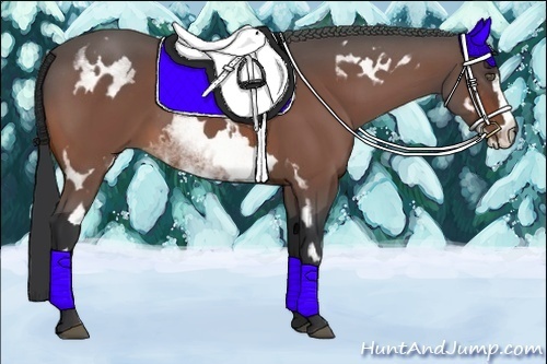 Horse Color:White Spotted Bay Frame