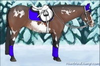 Horse Color:White Spotted Bay Frame 