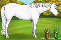 Horse Color:Gray White Spotted Red Dun Roan Splash Appaloosa 