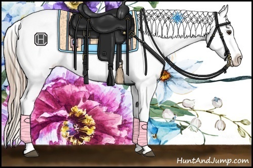 Horse Color:Chestnut Appaloosa 