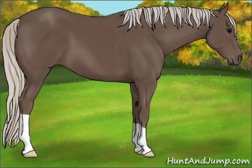 Horse Color:Silver Black 