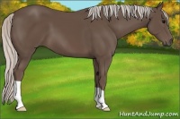Horse Color:Silver Black 