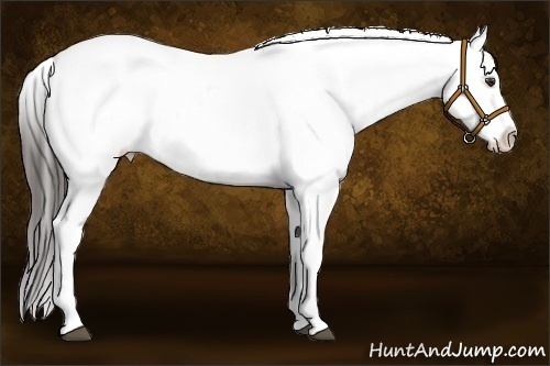 Horse Color:Liver Red Dun Ice Sabino Varnish